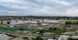 1, BHK Apartment Maya Garden City