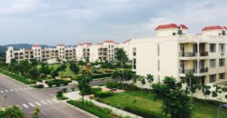 3 BHK Apartment DLF The Valley Orchard